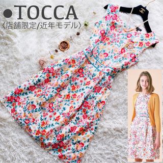 トッカ(TOCCA)の未使用に近い トッカ 近年モデル 店舗限定 完売品 ネモフィラ 刺繍 ワンピース(ひざ丈ワンピース)