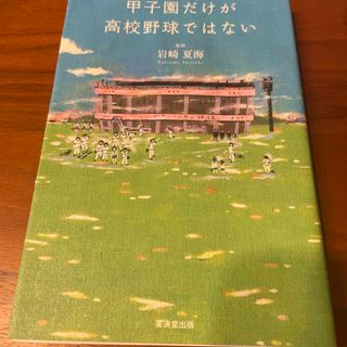 甲子園だけが高校野球ではない(文学/小説)