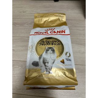 ロイヤルカナン(ROYAL CANIN)のロイヤルカナン ノルウェージャン フォレスト キャット専用フード 成猫用　2kg(猫)