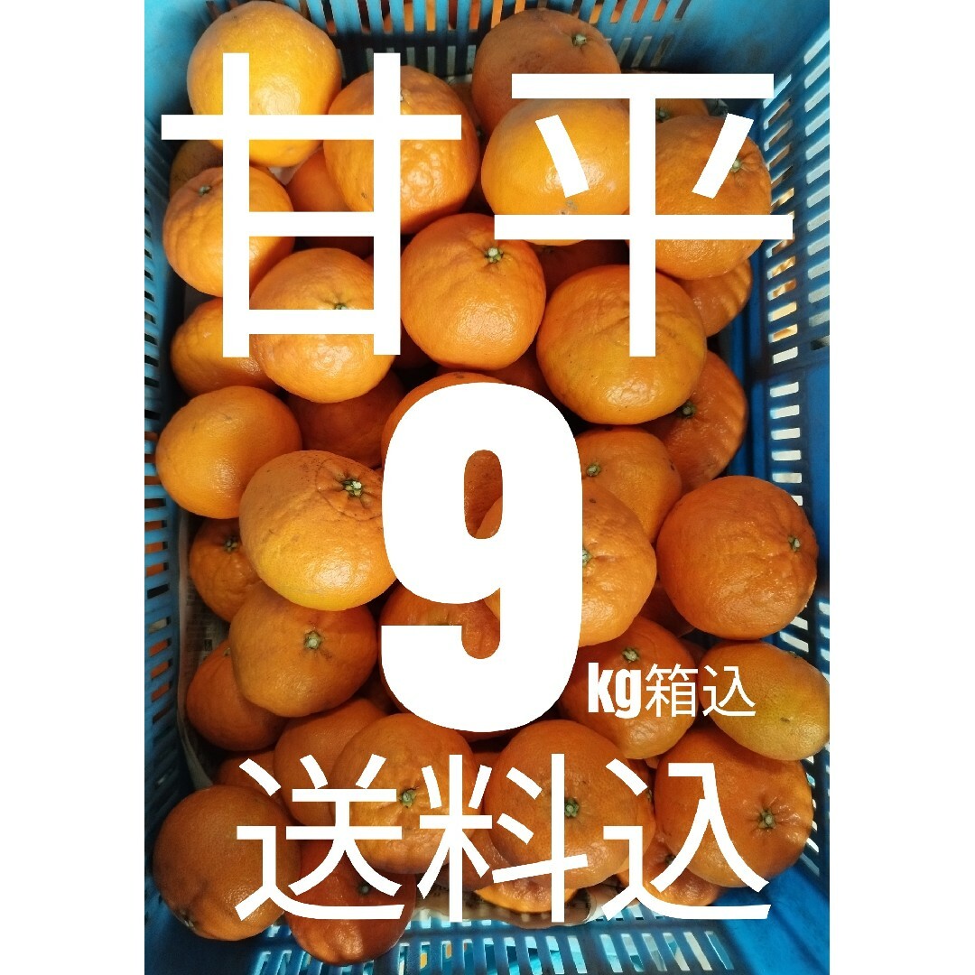 ！送料込み！甘平9kg箱込(5kg箱満杯２箱) 食品/飲料/酒の食品(フルーツ)の商品写真