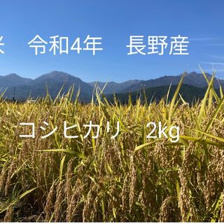 令和4年北信州産コシヒカリ　梱包込み2kg　ゆうパケットポスト(米/穀物)