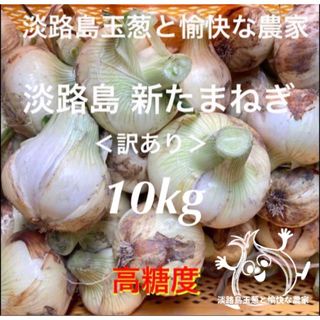 ＜訳あり＞淡路島産新玉ねぎ10kg 高糖度 新玉葱 新たまねぎ 新タマネギ(野菜)