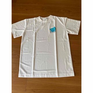 ミズノ(MIZUNO)の第20回諏訪湖マラソンTシャツ　2008年(ウェア)