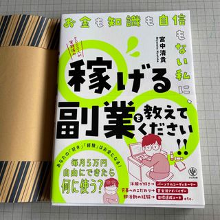 お金も知識も自信もない私に、稼げる副業を教えてください！！(ビジネス/経済)