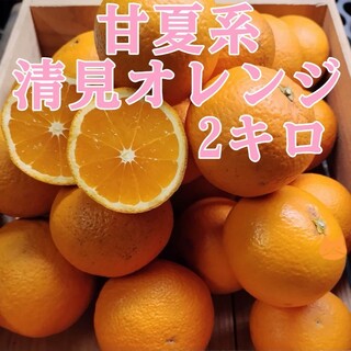 甘夏系清見オレンジ 2㌔(フルーツ)