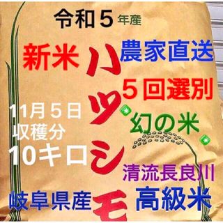 採れたて新米✳️令和５年産✳️５回色彩選別・有機肥料・送料無料ハツシモ10キロ(米/穀物)