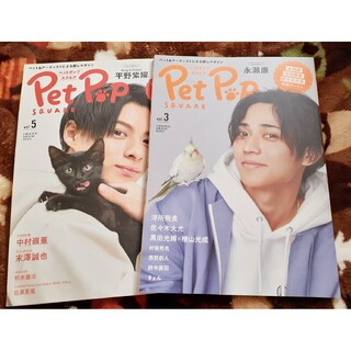 Pet Pop SQUARE King & Prince2冊セット(アート/エンタメ/ホビー)