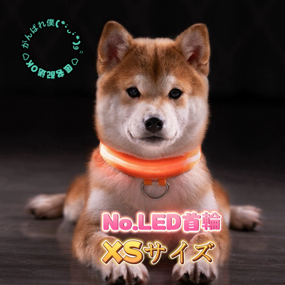 LED ペット用品 首輪 アンチロスフラッシュ ナイロン 防水 猫犬 わんちゃん ハンドメイドのペット(リード/首輪)の商品写真