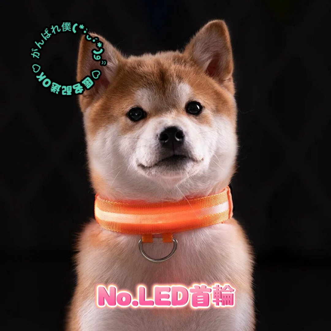 LED ペット用品 首輪 アンチロスフラッシュ ナイロン 防水 猫犬 わんちゃん ハンドメイドのペット(リード/首輪)の商品写真