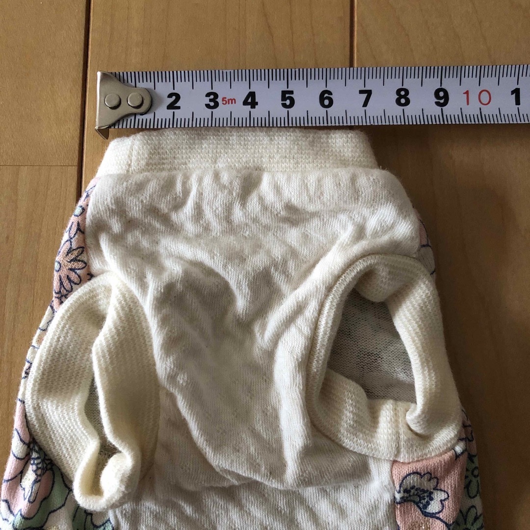 犬　服　3S その他のペット用品(犬)の商品写真