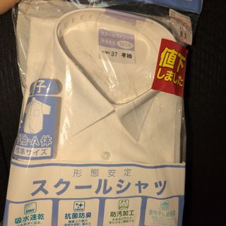 スクールシャツ半袖(Tシャツ/カットソー)