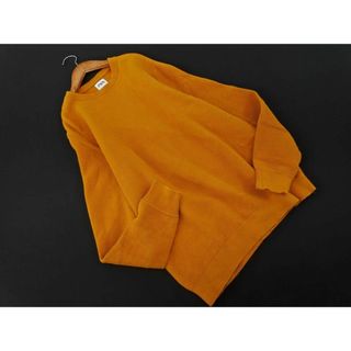 ザラ(ZARA)のZARA ザラ クルーネック ニット セーター sizeS/マスタード ◇■ メンズ(ニット/セーター)