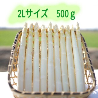 ２Lサイズ ホワイトアスパラガス500g(野菜)