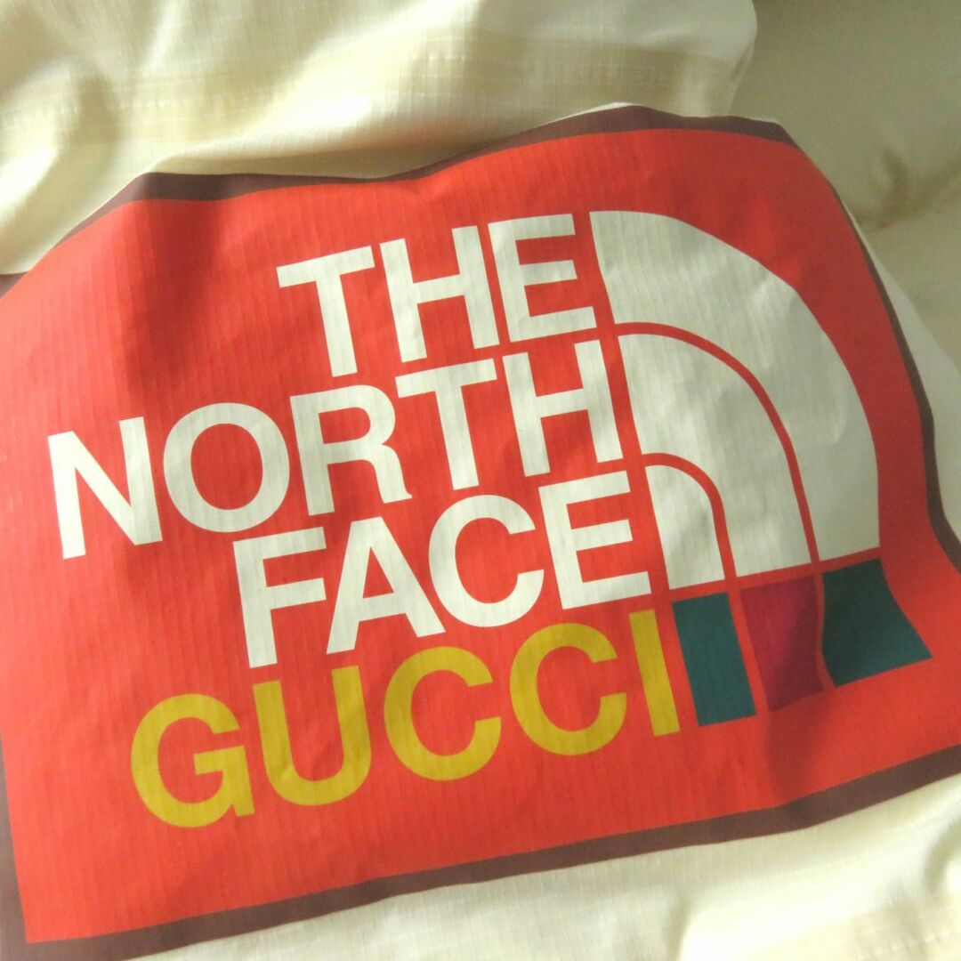 Gucci(グッチ)の未使用品◎正規品 GUCCI ×THE NORTH FACE グッチ×ノースフェイス 22SS 671794 アームロゴフーデッドロングダウンジャケット アイボリー S レディースのジャケット/アウター(ダウンジャケット)の商品写真