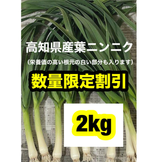 高知県産葉にんにく　葉ニンニク　産地直送2kg tmjgwj(野菜)