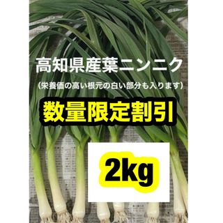 高知県産葉にんにく　葉ニンニク　産地直送2kg tmjgwj(野菜)