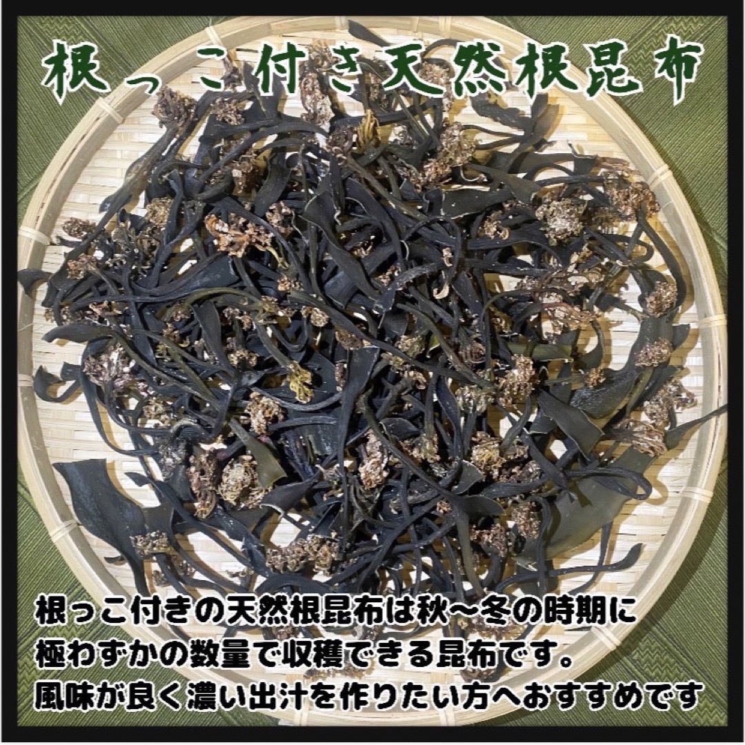 【根っこ付き天然根昆布】根昆布　大容量3kg 冬季収穫　天然昆布 高級出汁 食品/飲料/酒の加工食品(乾物)の商品写真