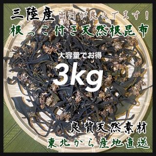 【根っこ付き天然根昆布】根昆布　大容量3kg 冬季収穫　天然昆布 高級出汁(乾物)