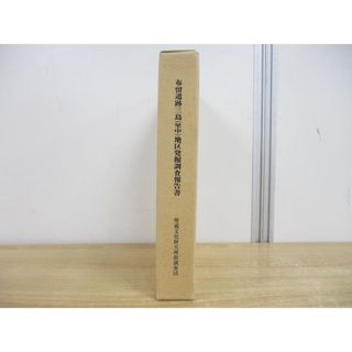 ●01)【同梱不可】奈良県天理市 布留遺跡三島(里中)地区発掘調査報告書/天理大学附属天理参考館分室/埋蔵文化財天理教調査団/1995年発行/A(人文/社会)