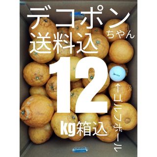 ！送料込み！デコポンちゃん(不知火)12kg家庭用(フルーツ)