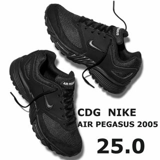 コムデギャルソンオムプリュス(COMME des GARCONS HOMME PLUS)の25 コムデギャルソン ナイキ スニーカー AIR PEGASUS 2005 黒(スニーカー)