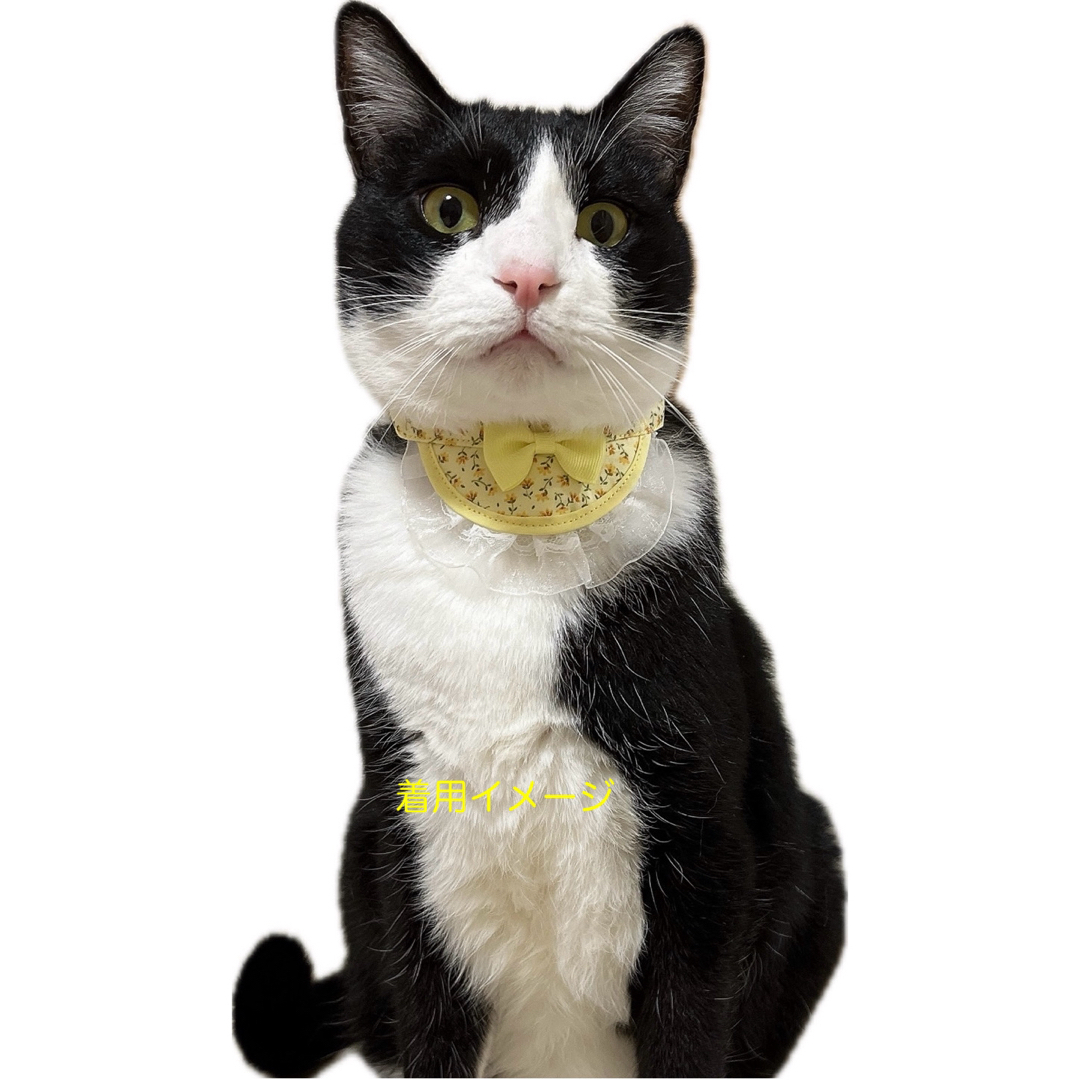 ミニ丸スタイ(いちご柄) 猫 スタイ セーフティバックル ハンドメイドのペット(リード/首輪)の商品写真