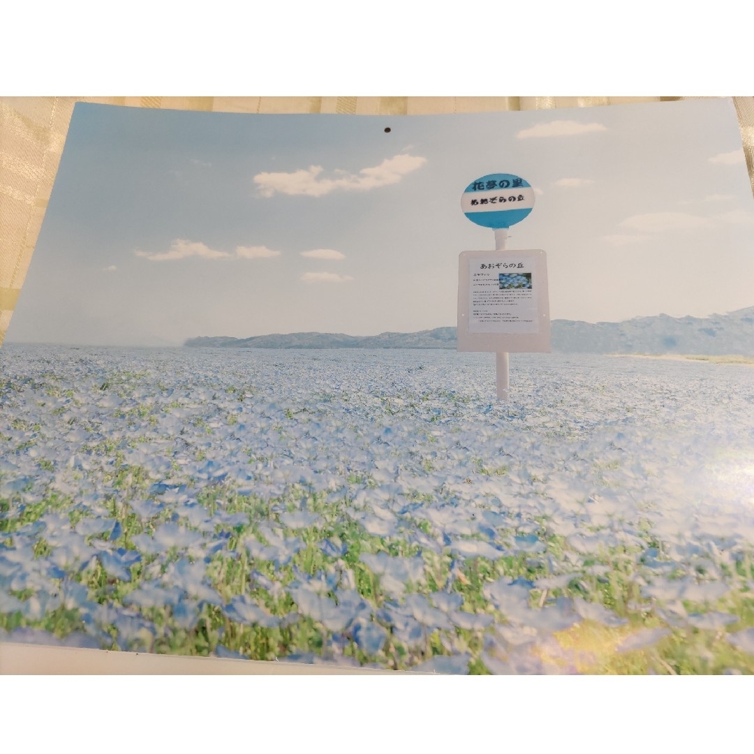 壁掛けカレンダー2024　幻想の花風景　月めくり　三谷ユカリ インテリア/住まい/日用品の文房具(カレンダー/スケジュール)の商品写真