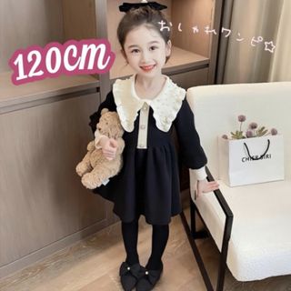 子ども ビッグカラー ニットワンピース 110 女の子 フォーマル 入園 卒園(ワンピース)