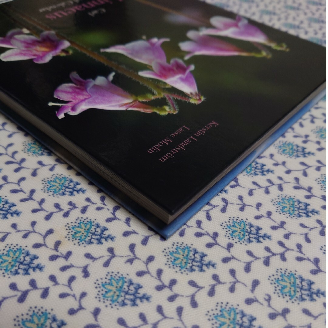 植物写真集【Carl Llinnaeus】 エンタメ/ホビーの本(アート/エンタメ)の商品写真