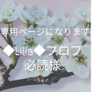 シャネル(CHANEL)の◆Lilia◆プロフ必読様ご専用です(ノベルティグッズ)