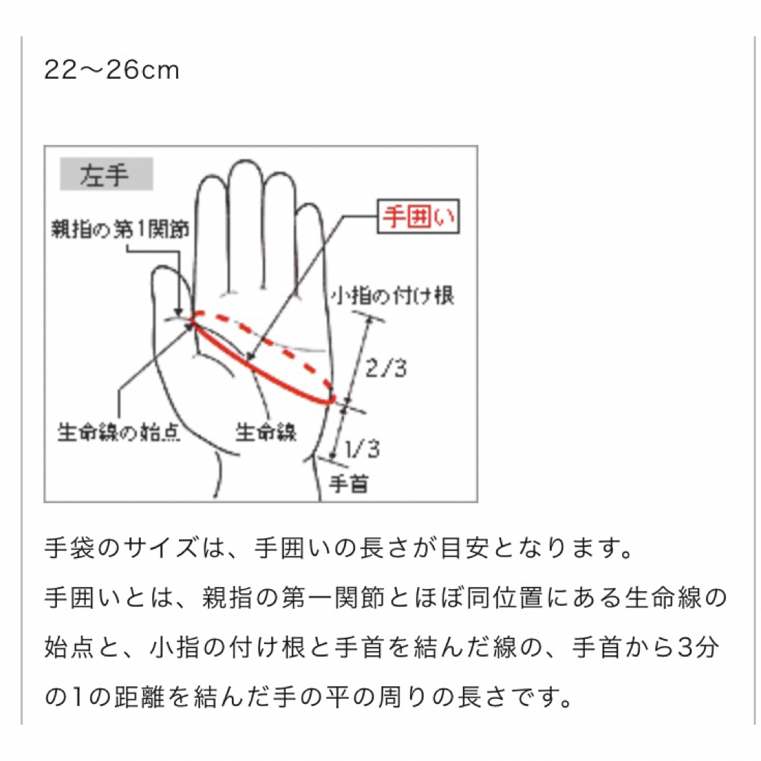 MIZUNO(ミズノ)のMIZUNOグローブ/手袋 23／ ミズノエリート／左手 ゴルフ 現行モデル男性 スポーツ/アウトドアのゴルフ(その他)の商品写真