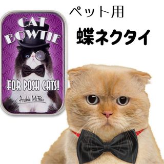 【新品未使用】猫用 蝶ネクタイ 黒 缶入り ブラック ボウタイ ペット用 犬 猫(その他)