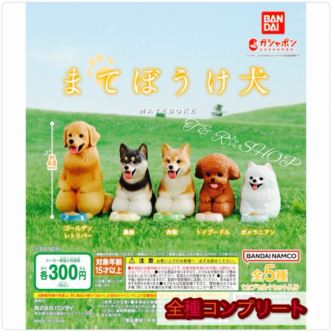 BANDAI(バンダイ)の【◎フルコンプ】まてぼうけ 犬 エンタメ/ホビーのフィギュア(その他)の商品写真