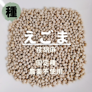 【種】えごま　荏胡麻　無農薬　400粒(野菜)