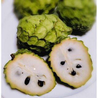 おすすめ！沖縄本島産 高級フルーツ、アテモヤの種子10粒(フルーツ)