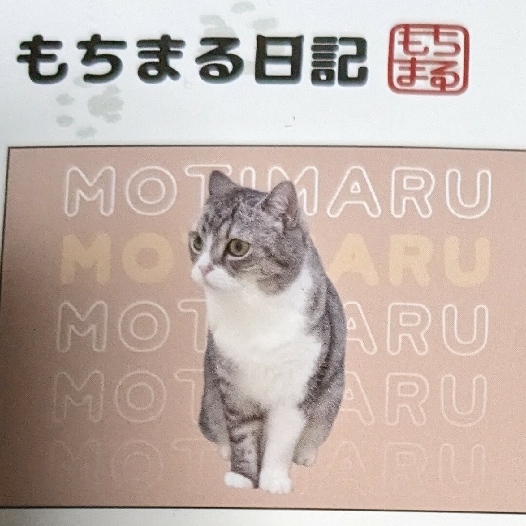 しまむら - ・猫枕カバー・もちまる日記枕カバー・新品未使用・43×63の