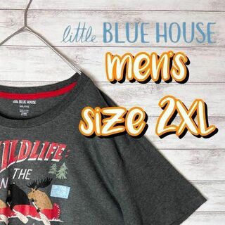 【US古着　送料無料】little blue house デザインTシャツ(Tシャツ/カットソー(半袖/袖なし))