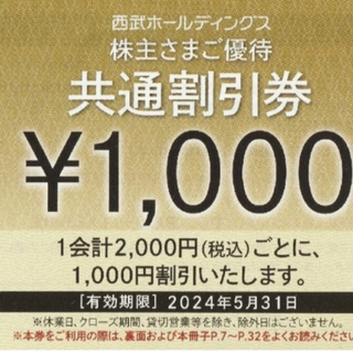 【送料無料】西武ホールディングス　共通割引券　6枚　西武HD(ショッピング)