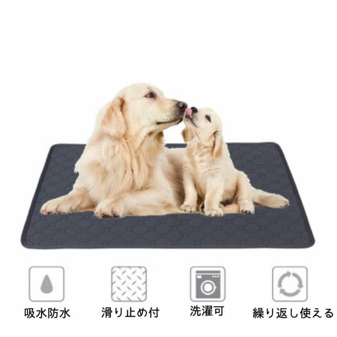 ペットマット ２枚セット 洗える トイレシート ベージュ  トレーニングマット その他のペット用品(犬)の商品写真