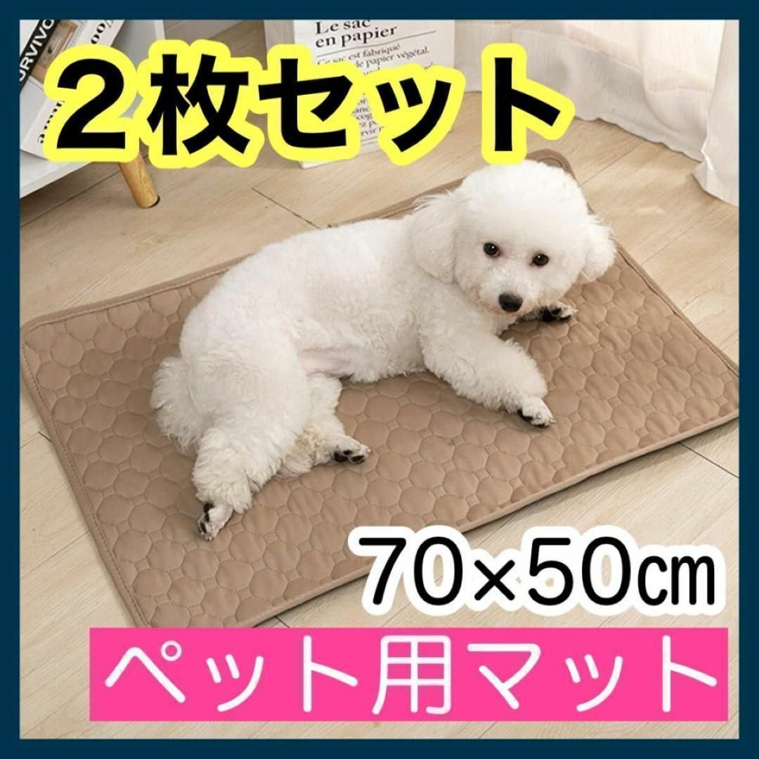 ペットマット ２枚セット 洗える トイレシート ベージュ  トレーニングマット その他のペット用品(犬)の商品写真