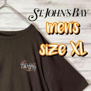 【US古着　送料無料】st john's bay Tシャツ サイズXL ブラウン(Tシャツ/カットソー(半袖/袖なし))