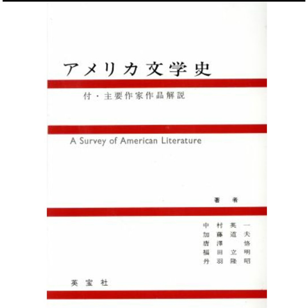 アメリカ文学史/中村英一 エンタメ/ホビーの本(語学/参考書)の商品写真