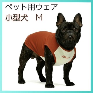タグ付き✨ Fitwarm 100％綿 犬服  袖なし 刺繍文字 小型犬　M(ペット服/アクセサリー)