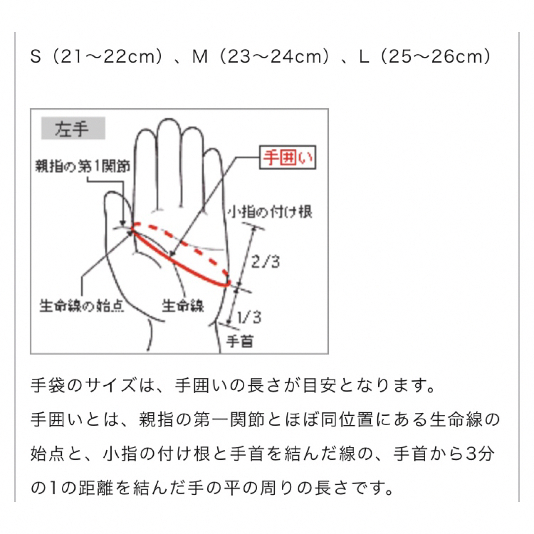 MIZUNO(ミズノ)のMIZUNOブレスサーモ手袋／サーマグリップ／両手(ゴルフ) S/スマホ対応男性 スポーツ/アウトドアのゴルフ(その他)の商品写真