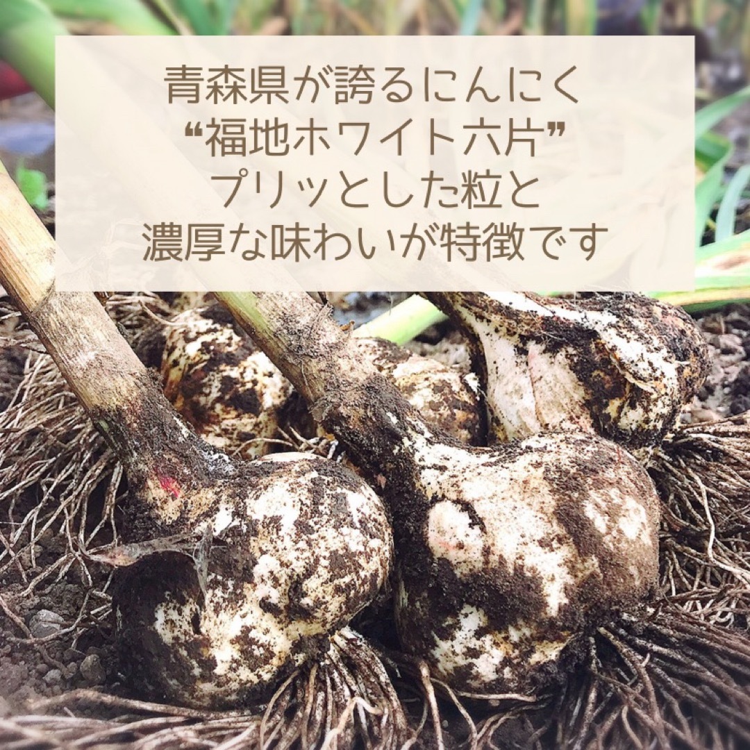 ★むきニンニク★2023年産　青森県田子町産にんにく500g農家直送 食品/飲料/酒の食品(野菜)の商品写真