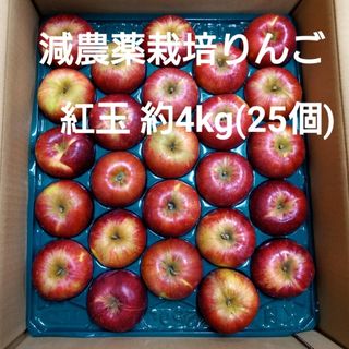 減農薬栽培りんご　紅玉約4kg (25個)(フルーツ)