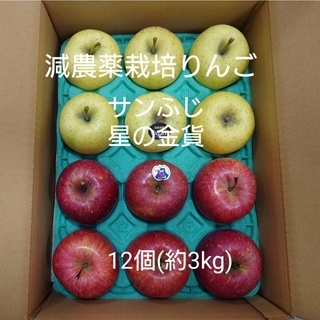 減農薬栽培りんご　サンふじ・星の金貨約3kg(フルーツ)