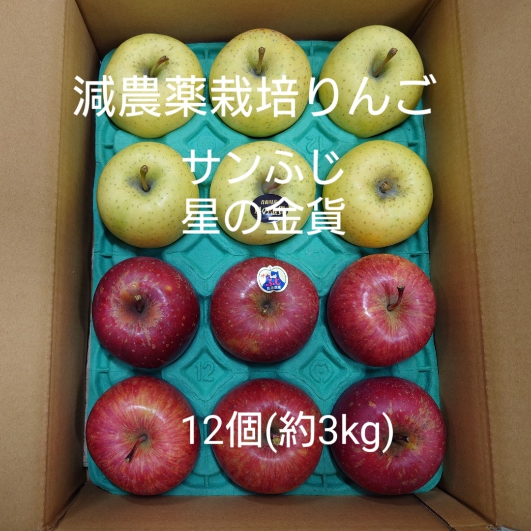 減農薬栽培りんご　サンふじ・星の金貨約3kg 食品/飲料/酒の食品(フルーツ)の商品写真