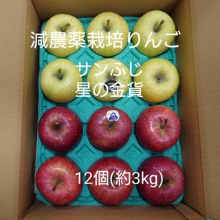 減農薬栽培りんご　サンふじ・星の金貨約3kg(フルーツ)