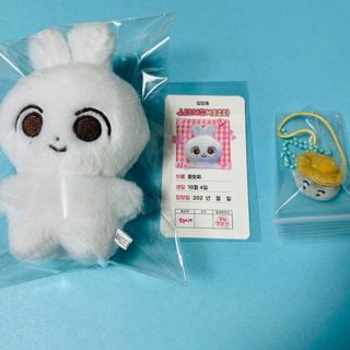 SEVENTEEN　 ジョンハン マスタ ぬいぐるみ 10ｃｍ   쫑모찌(アイドルグッズ)